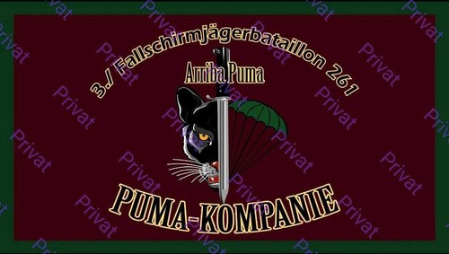 Fallschirmjäger poster dso - fallschirmjäger,