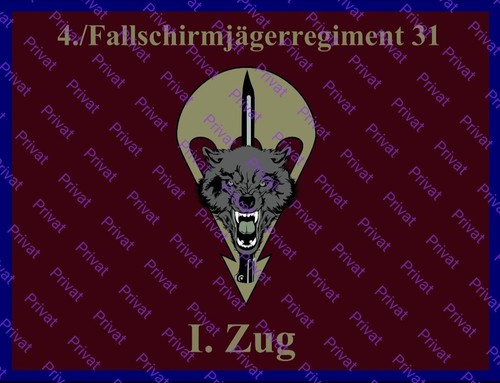 Fallschirmjäger poster dso - fallschirmjäger,